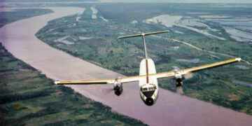 O Búfalo e o Tucano￼