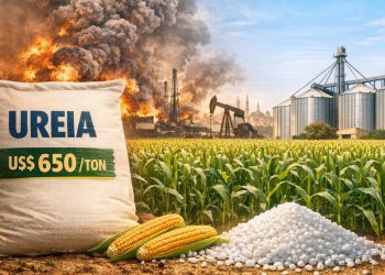 Terceira Guerra do Golfo: A disparada dos preços da ureia e o risco silencioso para o agronegócio brasileiro