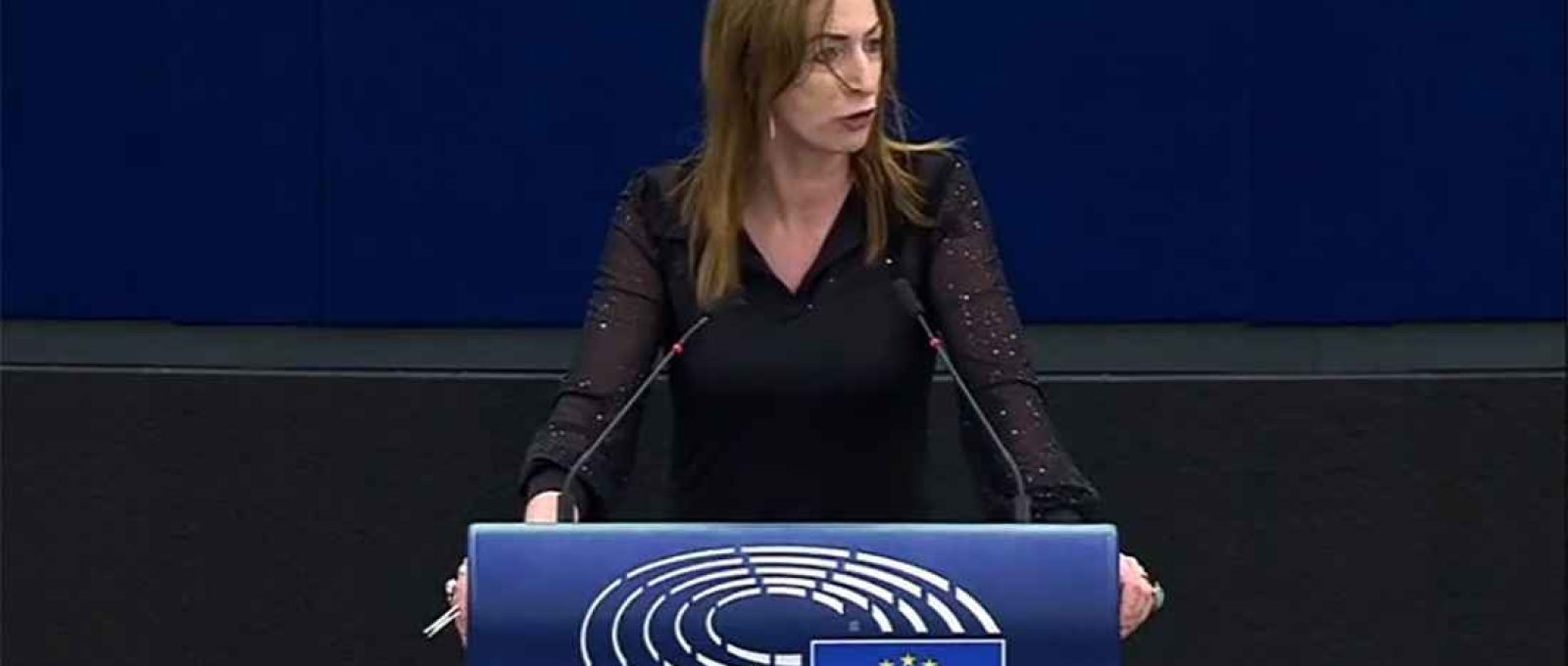 A eurodeputada Clare Daly (Independent.ie).