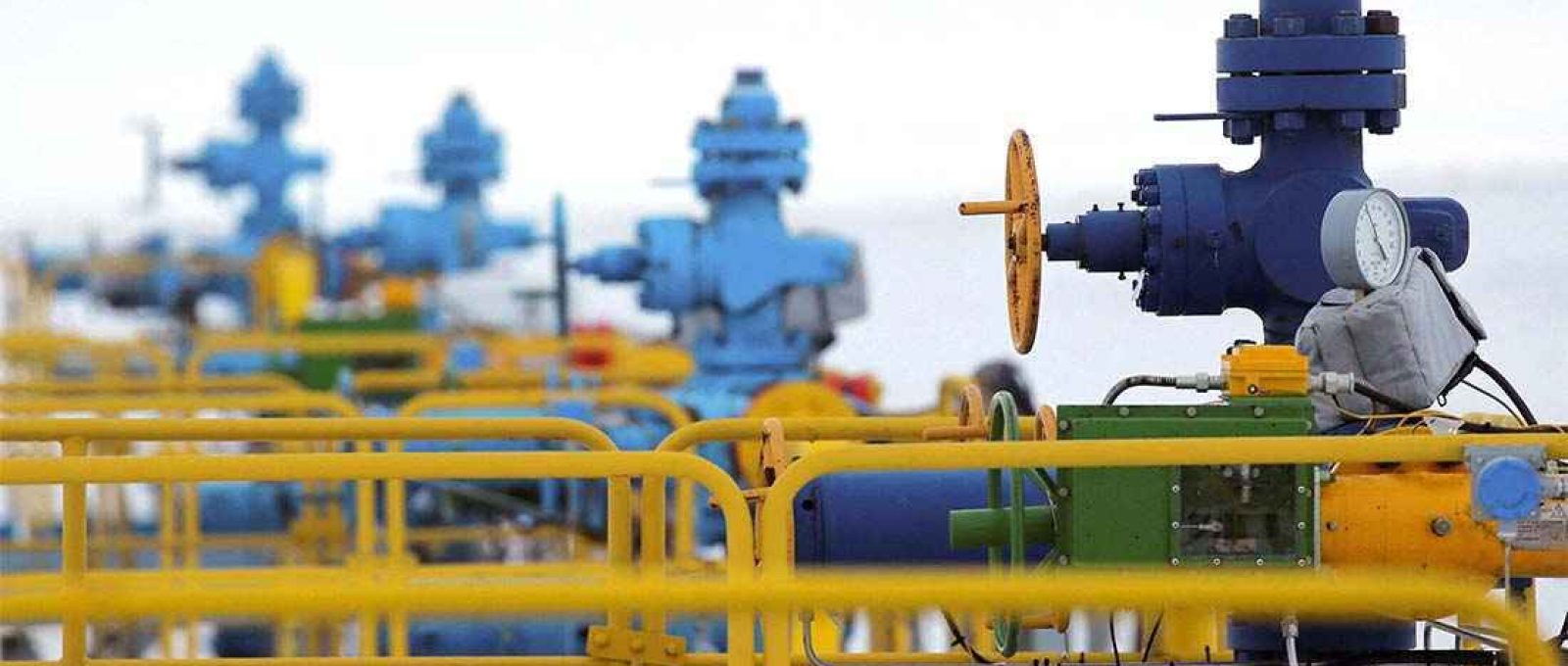 Maksim Shemetov/Reuters.