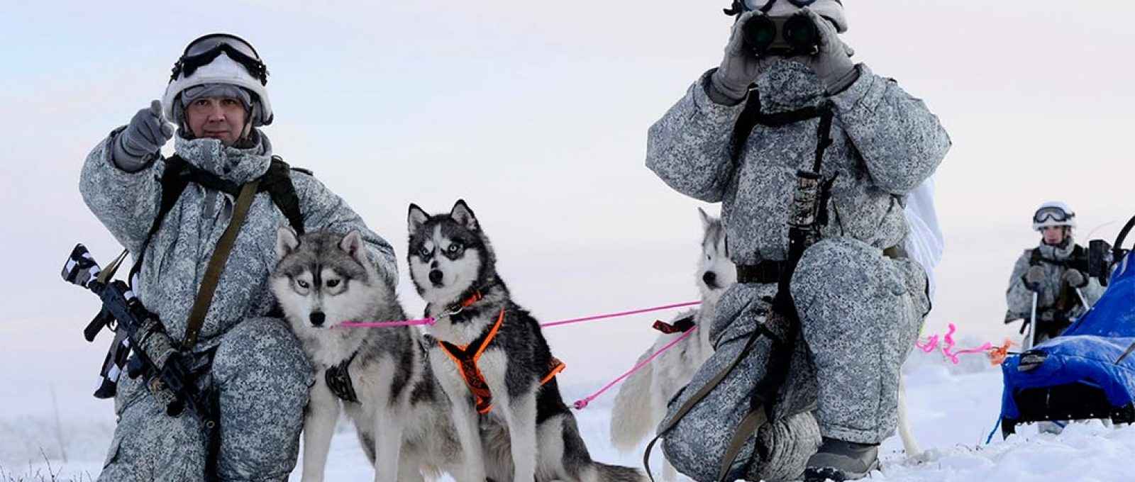 Membros de uma unidade de reconhecimento da brigada de infantaria mecanizada do Ártico da Frota do Norte conduzem exercícios militares e aprendem a andar de trenó puxado por cães (Foto: Lev Fedossev/The Arctic Institute).