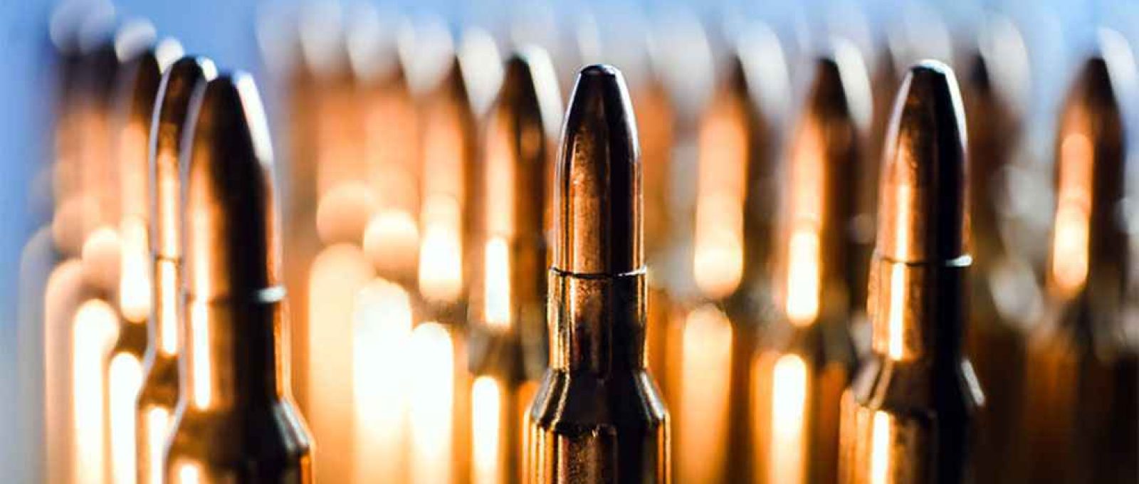 Bublik Polina/Adobe Stock.