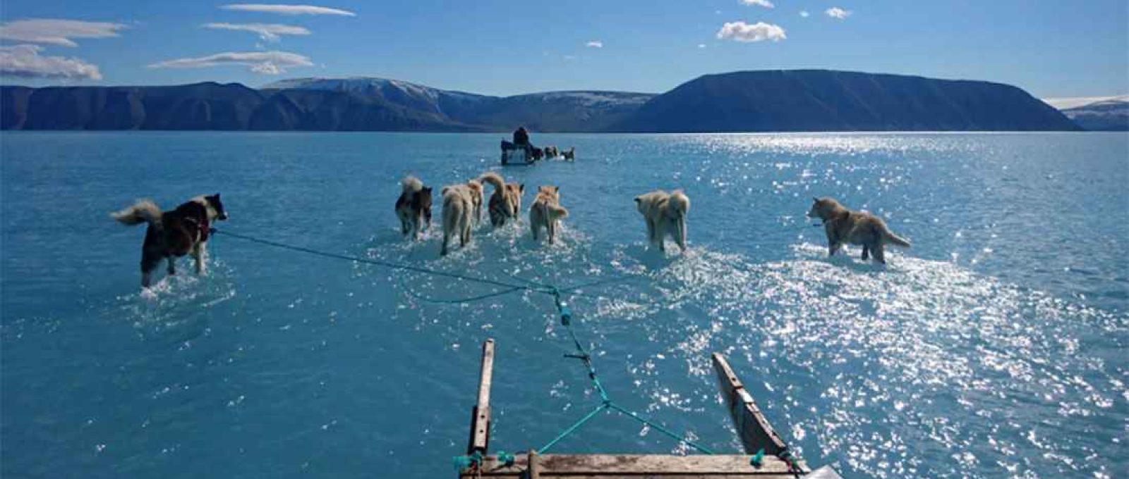 Imagem simbólica do derretimento do gelo na Groenlândia: o trenó na água (Steffen Olsen).