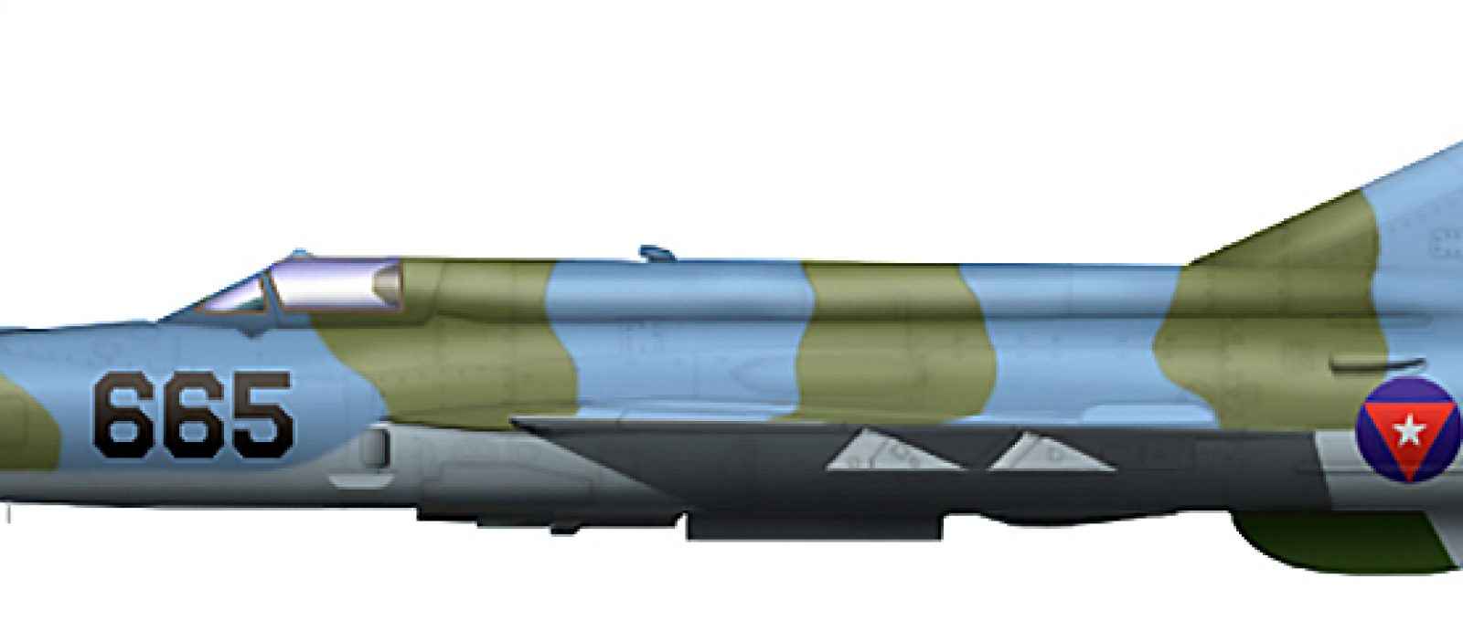 MiG-21Bis Fishbed 665 50_2 aa